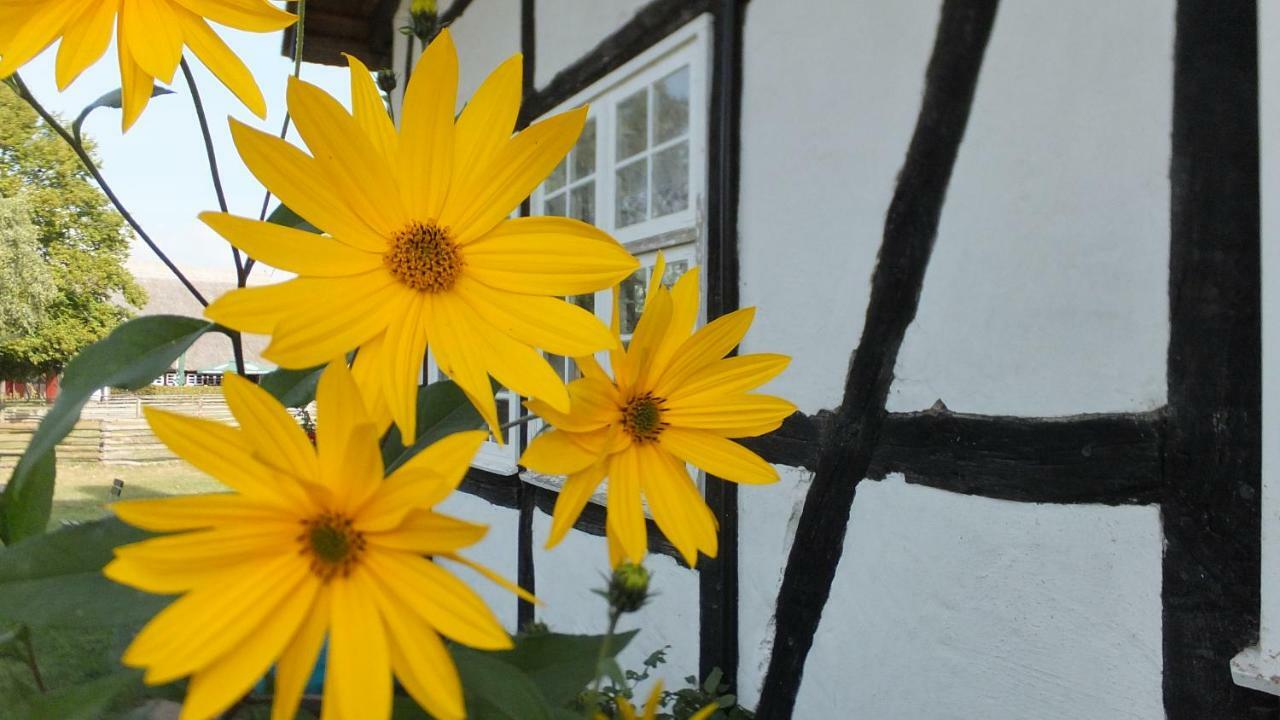 Ferienwohnung Schonzeit Graal-Mueritz Exterior foto
